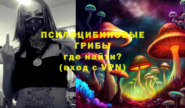 spice Абинск