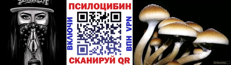 Галлюциногенные грибы GOLDEN TEACHER Советская Гавань