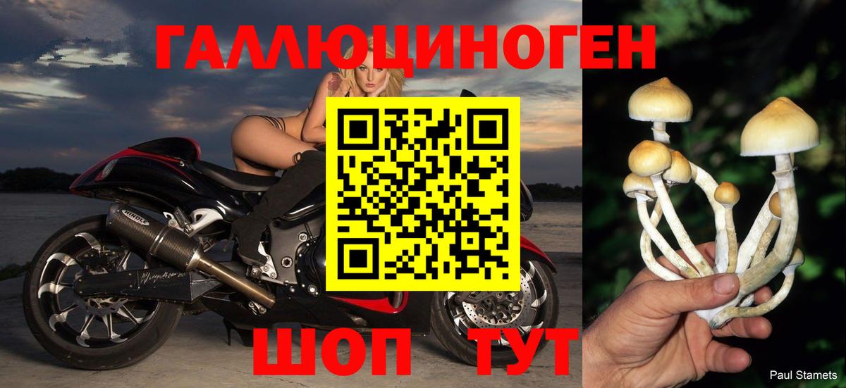 где купить   Псилоцибиновые грибы Magic Shrooms  Вход с VPN  Галлюциногенные грибы ЛСД  Советская Гавань 